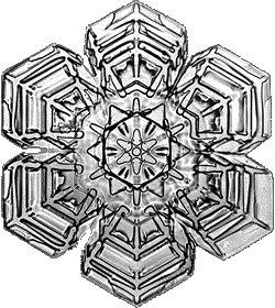 (Another snowflake - Wilson Bentley)